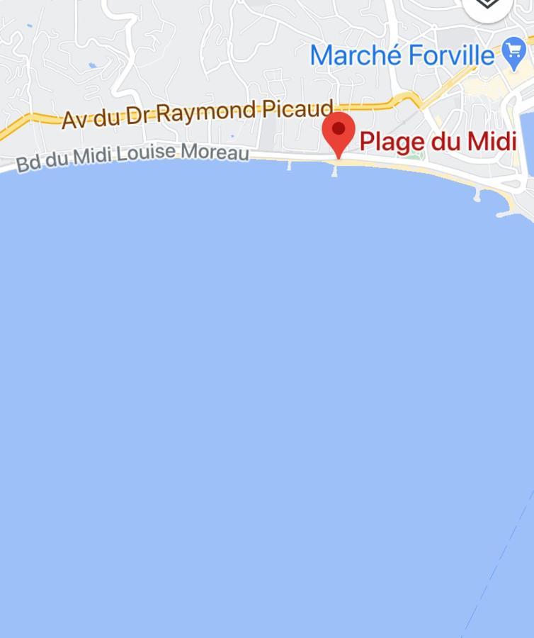 Appartement Rooftop, Premiere Ligne, Vue Mer, 50M De Plage Du Midi Cannes Dış mekan fotoğraf